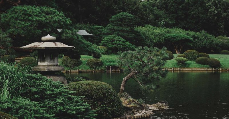 Esperando la imagen de producto